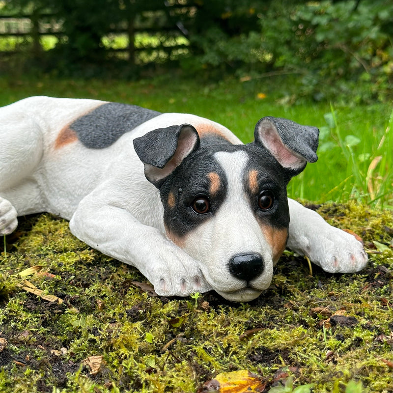 Jack Russell laying figurine, large 46cm ornament, idea memorial, grave marker or garden decoration
