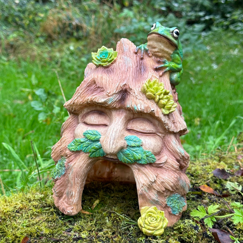 Frog Toad House, face in tree stump design with frog decoration, provides shelter to frogs and other wildlife, novelty frog or wildlife lover gift