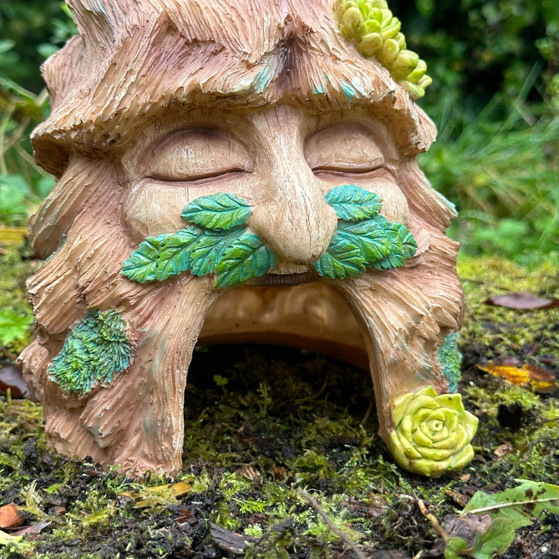 Frog Toad House, face in tree stump design with frog decoration, provides shelter to frogs and other wildlife, novelty frog or wildlife lover gift