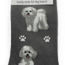 Ladies Bichon Frise Socks, lovely vibrant colours, soft combed cotton, one size
