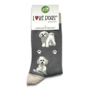 Women's Bichon Frise Socks, lovely vibrant colours, soft combed cotton, one size