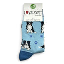 Women's Border Collie Socks, lovely vibrant colours, soft combed cotton, one size