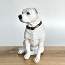 White sitting Staffordshire Bull Terrier ornament 18cm high, Leonardo range, gift boxed