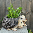 Two Hedgehogs shaped Planter novelty house, garden or patio decoration, quirky Hog lover gift