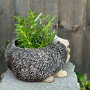 Two Hedgehogs shaped Planter novelty house, garden or patio decoration, quirky Hog lover gift