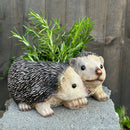 Two Hedgehogs shaped Planter novelty house, garden or patio decoration, quirky Hog lover gift