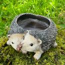 Two Hedgehogs shaped Planter novelty house, garden or patio decoration, quirky Hog lover gift