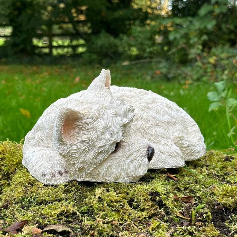 Laying West Highland Terrier figurine, indoor or garden ornament or memorial