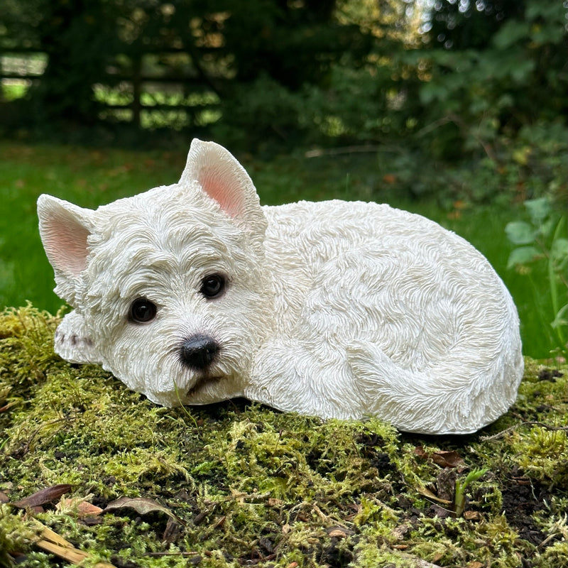 Laying West Highland Terrier figurine, indoor or garden ornament or memorial