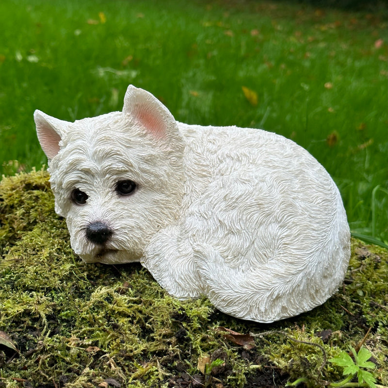 Laying West Highland Terrier figurine, indoor or garden ornament or memorial