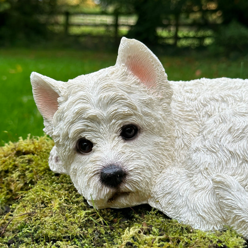 Laying West Highland Terrier figurine, indoor or garden ornament or memorial