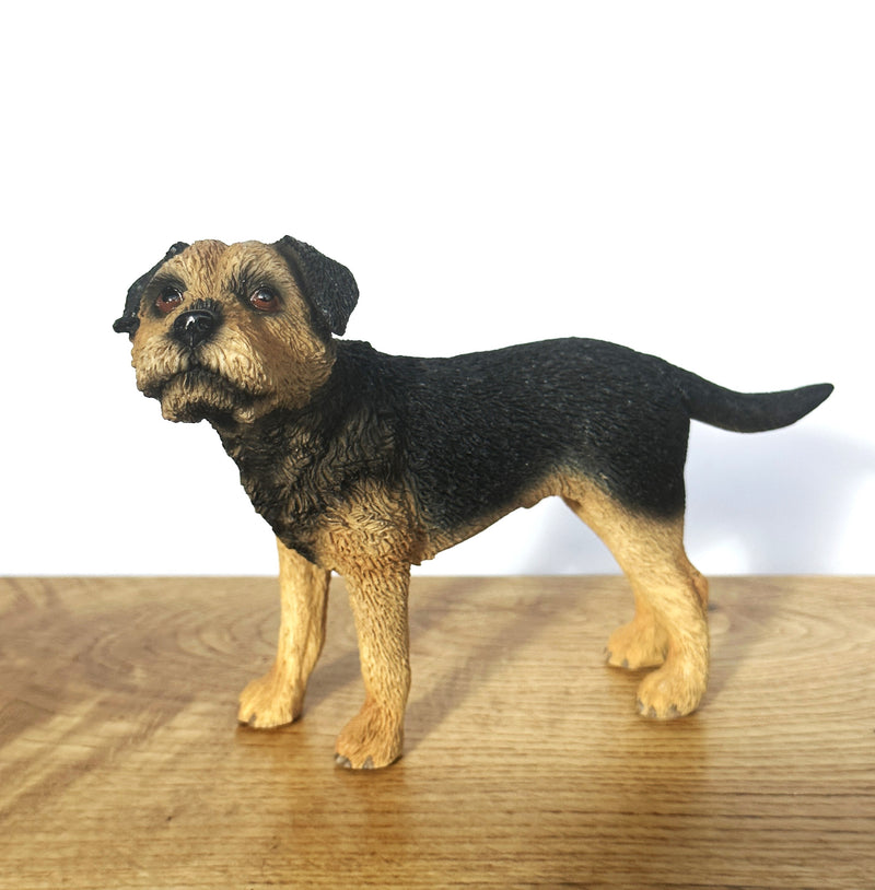 Border Terrier, quality lifelike figurine from the Leonardo range. Gift boxed.