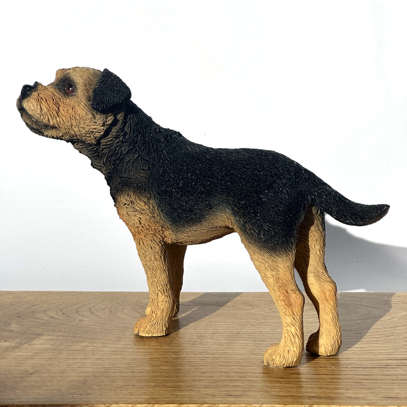 Border Terrier, quality lifelike figurine from the Leonardo range. Gift boxed.