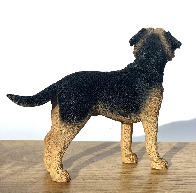 Border Terrier, quality lifelike figurine from the Leonardo range. Gift boxed.