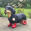 Large Dachshund in Red Wellington Boots 'Welly Dog' figurine home or garden decoration (25cm)