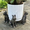 SET of 3 Schnauzer Dog shaped Plant Flower Pot Stands