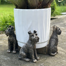 SET of 3 Schnauzer Dog shaped Plant Flower Pot Stands