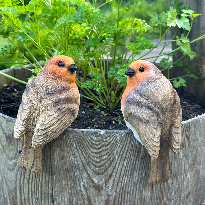 plant pot animal hangers SET of 2 Robin flower pot hangers, novelty garden ornament bird lover