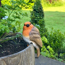 SET of 2 Robin flower pot hangers, novelty garden ornament bird lover gift