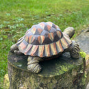 Large realistic Tortoise figurine, length 20cm, gift boxed