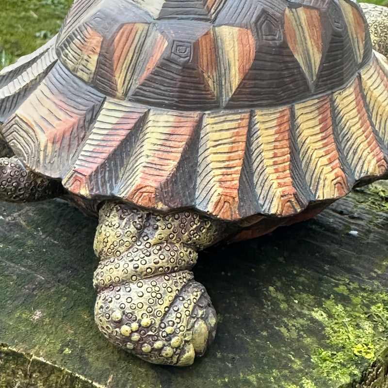 Large realistic Tortoise figurine, length 20cm, gift boxed