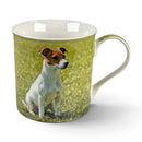 Leonardo quality Jack Russell Terrier fine china mug with all round print, in coloured gift box, great Jack Russell lover gift