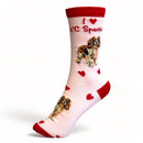 King Charles Spaniel socks with I love KC Spaniels wording, with FREE GIFT BAG