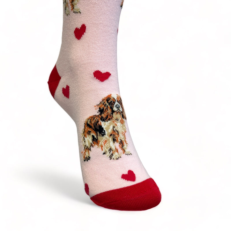Ladies King Charles Spaniel LOVE DOGS socks with cute dog image and hearts design, one size, quality cotton mix, novelty dog lover gift
