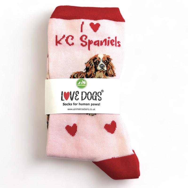 Ladies King Charles Spaniel LOVE DOGS socks with cute dog image and hearts design, one size, quality cotton mix, novelty dog lover gift