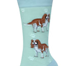 Women's  King Charles Spaniel Socks, lovely vibrant colours, soft combed cotton, one size