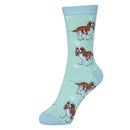 Women's  King Charles Spaniel Socks, lovely vibrant colours, soft combed cotton, one size