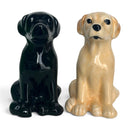 Golden and Black Labrador Ceramic Salt & Pepper Shaker Set, Gift Boxed