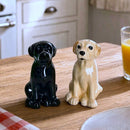 Golden and Black Labrador Ceramic Salt & Pepper Shaker Set, Gift Boxed