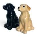 Golden and Black Labrador Ceramic Salt & Pepper Shaker Set, Gift Boxed