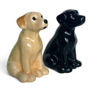 Golden and Black Labrador Ceramic Salt & Pepper Shaker Set, Gift Boxed