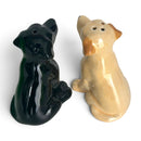 Golden and Black Labrador Ceramic Salt & Pepper Shaker Set, Gift Boxed