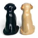 Golden and Black Labrador Ceramic Salt & Pepper Shaker Set, Gift Boxed