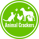 NEW! Medium Groovy Art glossy bright coloured Sitting Cat ornament figurine Cat lover gift (22cm)