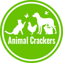 Groovy Art bright coloured sitting Chihuahua ornament figurine, Chihuahua lover gift