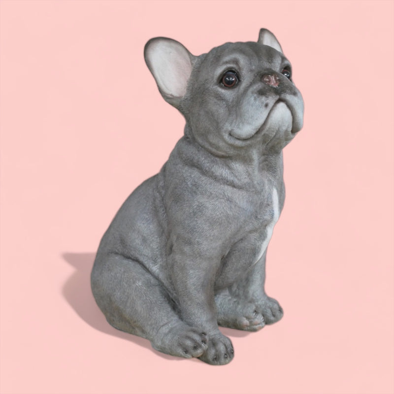 'Blue' grey sitting French Bulldog figurine, large (35cm high) ornament decoration