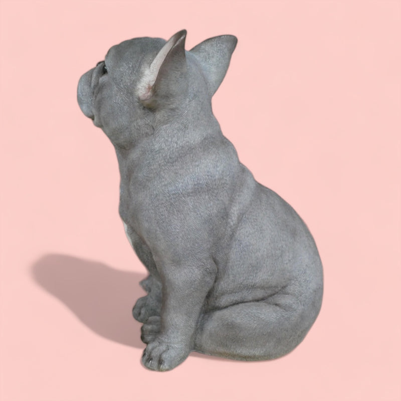 'Blue' grey sitting French Bulldog figurine, large (35cm high) ornament decoration