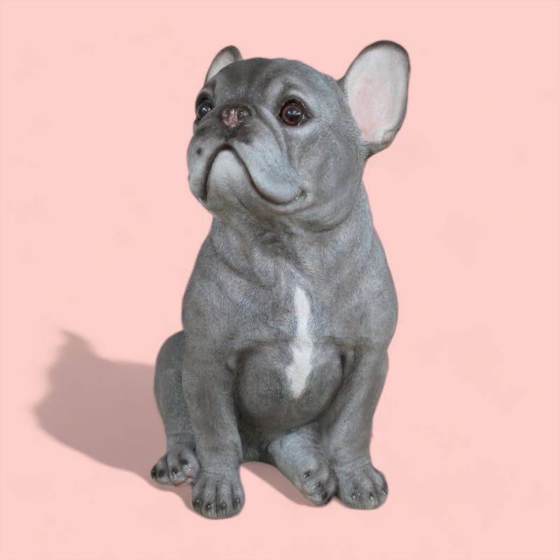 'Blue' grey sitting French Bulldog figurine, large (35cm high) ornament decoration