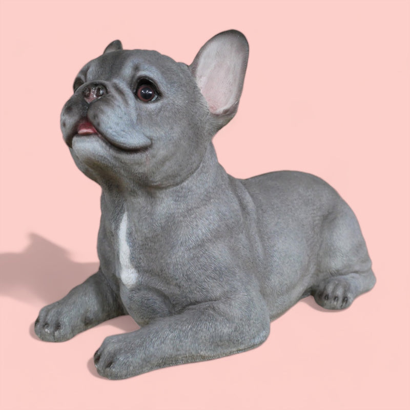 'Blue' grey laying French Bulldog figurine, large (36cm long) ornament decoration