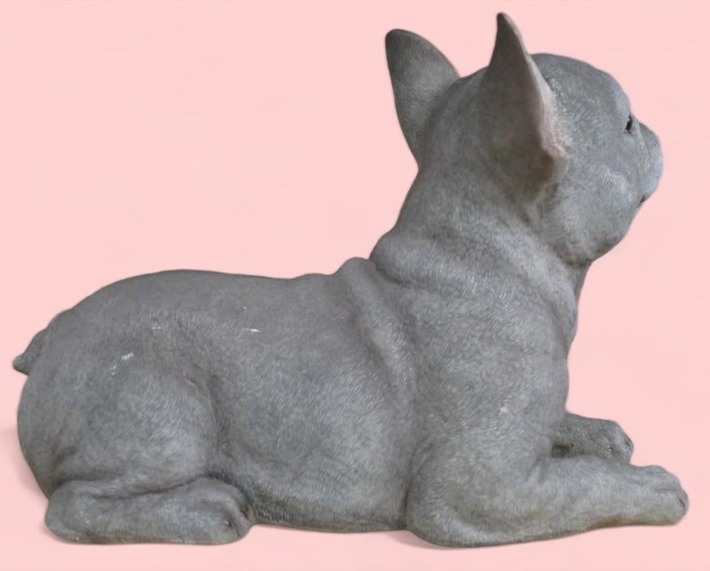 'Blue' grey laying French Bulldog figurine, large (36cm long) ornament decoration