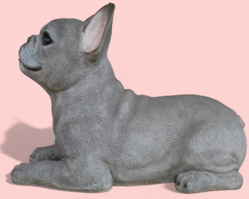'Blue' grey laying French Bulldog figurine, large (36cm long) ornament decoration