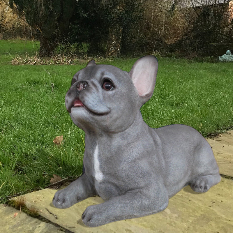 'Blue' grey laying French Bulldog figurine, large (36cm long) ornament decoration