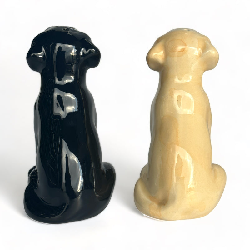 Golden and Black Labrador ceramic Salt & Pepper cruet set by Lesser & Pavey, boxed
