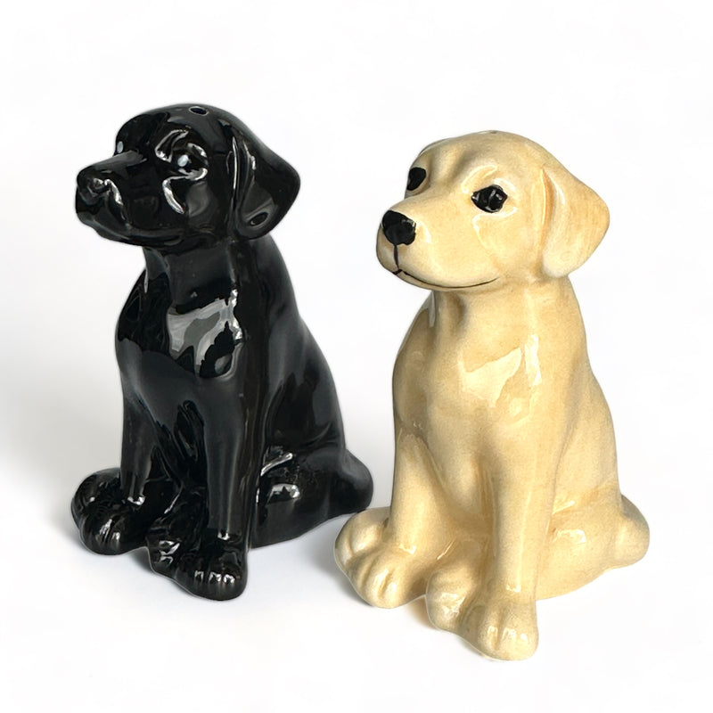 Golden and Black Labrador ceramic Salt & Pepper cruet set by Lesser & Pavey, boxed