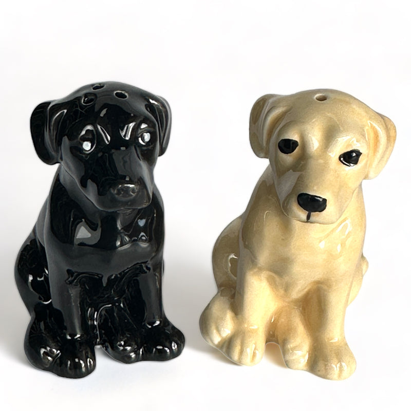 Golden and Black Labrador ceramic Salt & Pepper cruet set by Lesser & Pavey, boxed