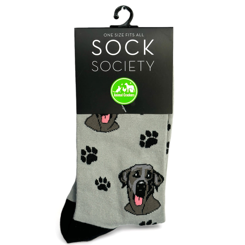 Black Labrador socks, Ladies quality cotton mix, great Dog lover gift stocking filler